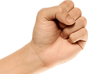 Fist